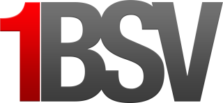 1BSV.net logo